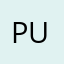 punt