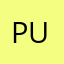 puttidanui