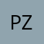 pzw1234