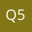 q501vin