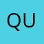 quiltlocust8