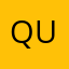 Quinn Viewer