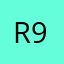 r9gues