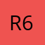 racoon 677