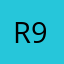 ramo 91