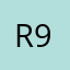 renato reis 999