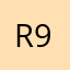 reviewer 919