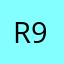 roamer 99