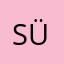 süpersel