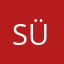süperyük