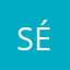 sas électrique