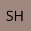 shoelace
