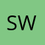 stevie wonders