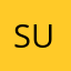 sun旺姆