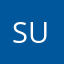 susangaines