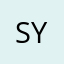 sy华姐