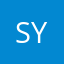 syoung_2000