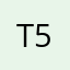t mom of 5