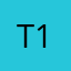 t121anf