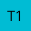 t1ov3