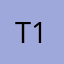 t1r1a