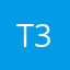 t3ehe3