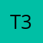 t3pgt