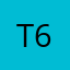 t60lee