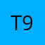 t9dnsh