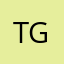 tiago gomes