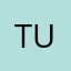 tupiodecurrar