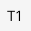 turki-1234321