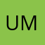 umich1