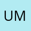 umich28