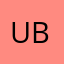 unknown bear