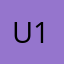 user 1000000000000000001