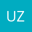uzelemnis