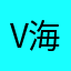 v海v
