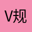 v 规划和规范的大动干戈个