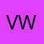 vida wang
