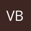 vit boroz