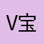 vv 宝贝