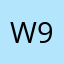 wayne 929