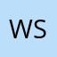 weisheng saw