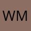 winston mavi