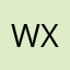 wondermix X