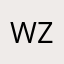 wztyfzheng