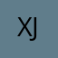 x4）v x j j