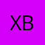 xBrainflashx