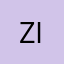 zi0306